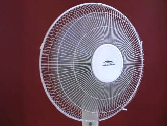 fan