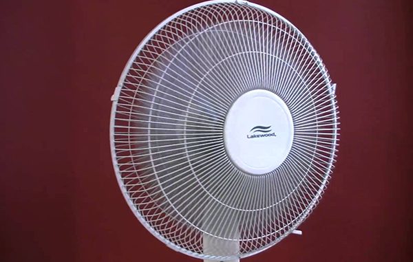 fan